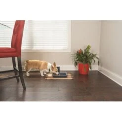 PetSafe Digitaler Futterautomat Für 2 Mahlzeiten -Trixie Verkäufe dd3fb1748ad72abb1dbd97f6f077b00bb4d76d05 1291255 de DE cf72a75b3fd4f7fd8b7e51ea368585b22239110fFJga5O