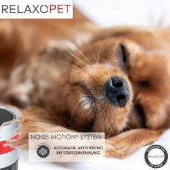 RelaxoPet PRO Entspannungs-Trainer HUND -Trixie Verkäufe de224d287be26c0354854993fb0e65239f9ec826 1315705 de DE a310aadac7db671f3faae759d92e591bdad669dc4yLyHE