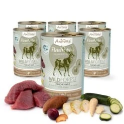 Aniforte WildForest Wild Mit Zucchini 2,4 Kg 15 Aniforte WildForest Wild Mit Zucchini 2,4 Kg -Trixie Verkäufe de9907efb22dbc04648c2b2329fe0a3934b6825e 1422182 de DE 4352ba6d2a968dfc69f50ce51513e7a4546f2453Ncc4Bl