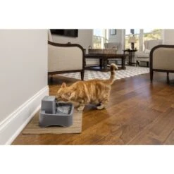 PetSafe Trinkbrunnen 1,8 L -Trixie Verkäufe df488cf045110a6e0d24fcded3d81de07583d88a 1323706 7