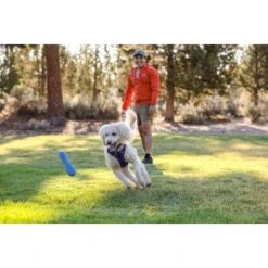 Ruffwear Gourdo™ Spielzeug L Violett -Trixie Verkäufe e0043bb37798e694605eafae31f43ab1b08a1b0e 1639892 de DE 14d32b95607116f791fa89977cce0163703631adnlxQik