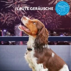 ADAPTIL Calm Halsband Anti Stress Erziehungshalsband S-M -Trixie Verkäufe e065c94a1eadac38177e4f3120e975f32282355e 1204441 10