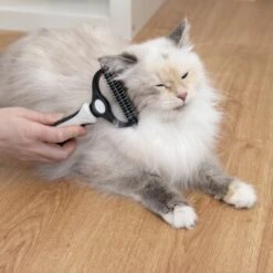 KaraLuna Unterfellbürste -Trixie Verkäufe e0e7f4b3ef49c70421b21094c2615519c93a1a3e 1407475 de DE 78030a6cd3af146aa7eb3f83fa2322b52c78816a2jpF0U