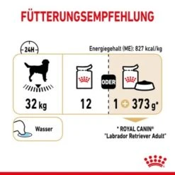 ROYAL CANIN Labrador Retriever Adul Stückchen In Soße 10x140g -Trixie Verkäufe e1b9aa69501dfa69aba07a4197757f547480d88b c0052012c545f677414535f1cd3590ef4b841f2f