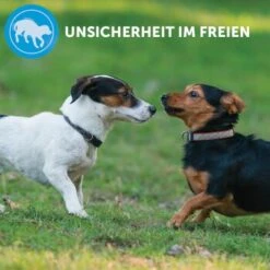 ADAPTIL Calm Halsband Anti Stress Erziehungshalsband S-M -Trixie Verkäufe e220fc002f83144152ad7157c15120ad2d9d8471 1204441 8