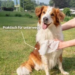 Aniforte Pflegetücher 100 Stück -Trixie Verkäufe e365b8abe40c079512459251ed7a0e0087ff8345 1439276 de DE e9b1c5cd3e053b4194f300ca56919dacbe6d40f5HoicFY