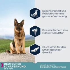 EUKANUBA Breed Specific Deutscher Schäferhund 12 Kg 8 EUKANUBA Breed Specific Deutscher Schäferhund 12 Kg -Trixie Verkäufe e74566402a337a12fdc798e9fabde5f0d5953a5c cc66d4c435377188d1bbad195ed5e6d7ec8074b3