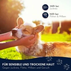 Pawlie's Sensitiv Hundeshampoo Für Hunde -Trixie Verkäufe e89fe06ff66f08049212bfc10adc10153aeb63cf 1626194 de DE 4976fc58bb1aa66ec74bbce2250fc22a134be1c3oYKgL0