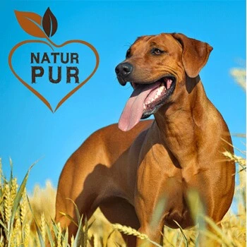 Fit-Crock Basic Rind Maxi 3 Fit-Crock Basic Rind Maxi – Bild 3