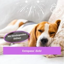 BeG Buddy Körbchen Spray Beruhigung Stress -Trixie Verkäufe ed46f42d90e9c2090e66970bc3c9598896831909 1669471 de DE 768bad740b864a3e328c301b094e7af58dea17cfBPOCDN