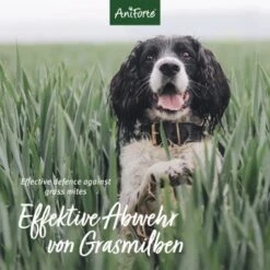 Aniforte Grasmilben-EX Spray Für Hunde 500ml -Trixie Verkäufe f1681a58b880d49267b5877e09c99fc6406a033b 1655910 de DE e3905507b4127feea49671bfd5a4aadf45361666Vq4xRH