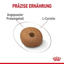 ROYAL CANIN Light Weight Care Medium 12 Kg -Trixie Verkäufe f3d4c8d3454d4747db3d91115077bb58b003229f 1376169 de DE asa 6