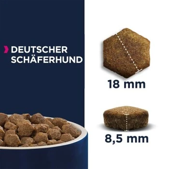 EUKANUBA Breed Specific Deutscher Schäferhund 12 Kg 5 EUKANUBA Breed Specific Deutscher Schäferhund 12 Kg – Bild 5