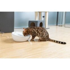 AniOne Keramik-Trinkbrunnen Waterfall Weiß Ohne Ersatzfilter -Trixie Verkäufe f5666e2f535275128e81462f19991e450c3d3f87 c66954489332ac4ff326811e24559ef9b2854fac