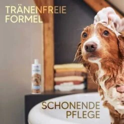 Pawlie's Welpenshampoo -Trixie Verkäufe f56801adb1bee6d0b5fdd328d641fa773ce5d4c4 1626204 de DE 7b87b87a2e48e8c0e12b98c918c4d75b538aae40E5TfEc