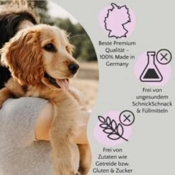 FAVLY Petfood FAVLY Probierpaket "Meat Roll" -Trixie Verkäufe f95f6d73b471bb4d2f747832dc517a14a97951b3 1475312 de DE 1599c09ca60134efdb65d5d73f221243ffcd3c9aM1RqUZ