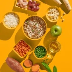 Fred & Felia FRED 10x390g Huhn Mit Reis -Trixie Verkäufe fa3354d5d7e29f5e3115c7e325cceb743afafaab 1422051 de DE 7f006e1364cbbcd2f31ac4115d4fa7fef4504fe7YhzorV