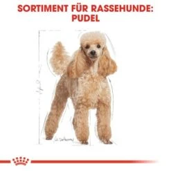 ROYAL CANIN Poodle Adult In Soße 12x85g 6 ROYAL CANIN Poodle Adult In Soße 12x85g -Trixie Verkäufe fb86c0620865f030df6bf40428c3486f929a93cf 88b6bb860653cd13cab44fad51b4b8db62a7114c