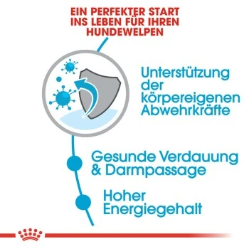 ROYAL CANIN X-Small Puppy 1,5 Kg 11 ROYAL CANIN X-Small Puppy 1,5 Kg – Bild 11