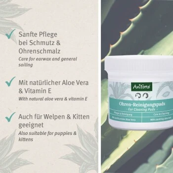 Aniforte Ohren-Reinigungspads Ohrenpflege Pads 100 Stück 6 Aniforte Ohren-Reinigungspads Ohrenpflege Pads 100 Stück – Bild 6