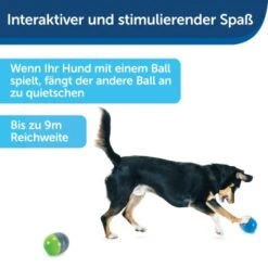 PetSafe Elektronisches Hundespielzeug Ricochet -Trixie Verkäufe fde7c0cc07cd70611ca47b65ddae3e632f160d94 1418724 de DE 4f6e4953c50827cae26a42d6d5890e56447a49a4XQHEwC