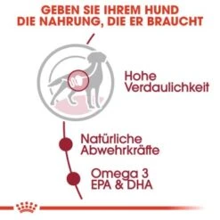 ROYAL CANIN MEDIUM Adult 10x140g -Trixie Verkäufe fe6b640f91b67bdea30a112f4c79409a8b1d5a34 9003579008362 3