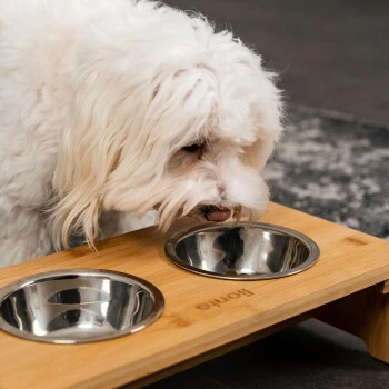 Lionto Erhöhte Futterstation Aus Bambus Braun/ Silber S 3 Lionto Erhöhte Futterstation Aus Bambus Braun/ Silber S – Bild 3