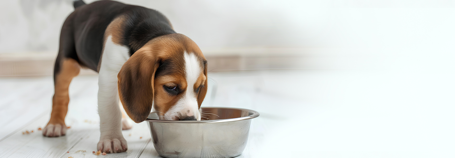 Trixie Verkäufe -Trixie Verkäufe portapet head hund nassfutter